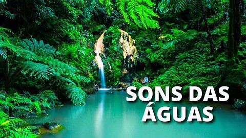 Sons da Natureza para Dormir | Sons de Rio | Energia Positiva Pura 🍃