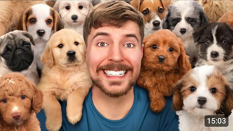 I Rescued 100 Abandoned Dogs!