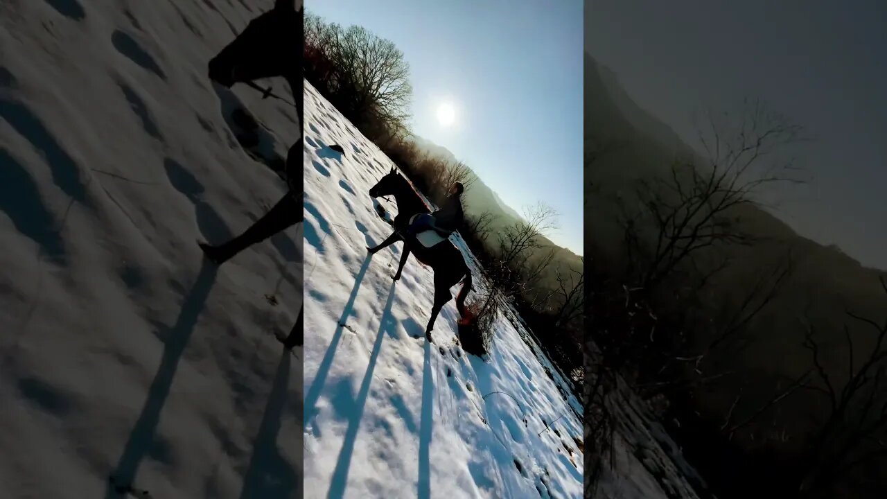 Pov: You actually Running Up That Hill on Horse to make a deal with god