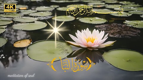surah an naba vieo