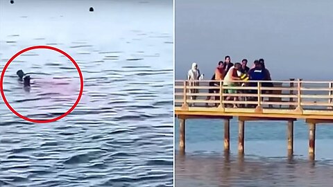 The BRUTAL Recent Shark Attacks Of Egypt's Red Sea Resorts