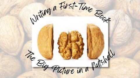 Writing a First-Time Book: The Big Picture in a Nutshell