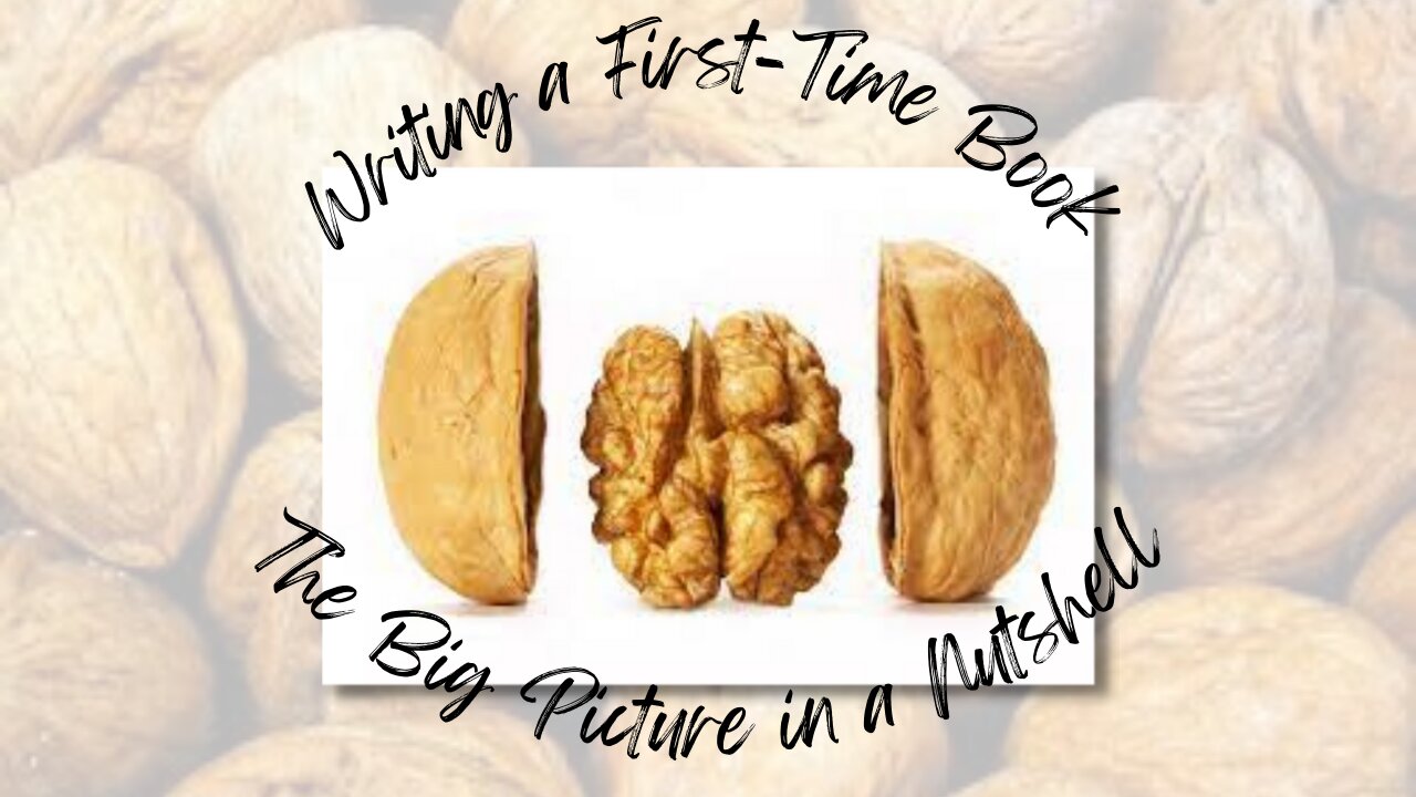 Writing a First-Time Book: The Big Picture in a Nutshell