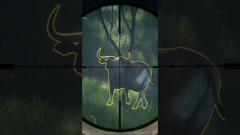 HAT TRICK! 💎💎💎 BANTENG 🐂 From Emerald Coast Australia -Diamond - theHunter: Call of the Wild #shorts