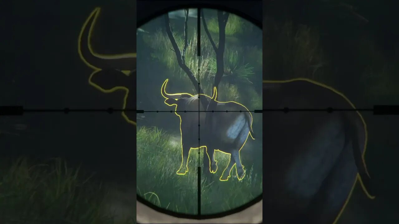 HAT TRICK! 💎💎💎 BANTENG 🐂 From Emerald Coast Australia -Diamond - theHunter: Call of the Wild #shorts