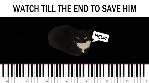 Maxwell The Spinning Cat but it gets faster and F A S T E R