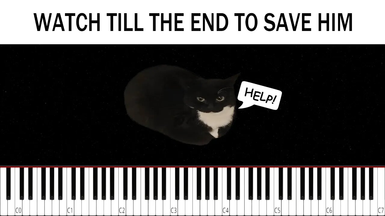 Maxwell The Spinning Cat but it gets faster and F A S T E R