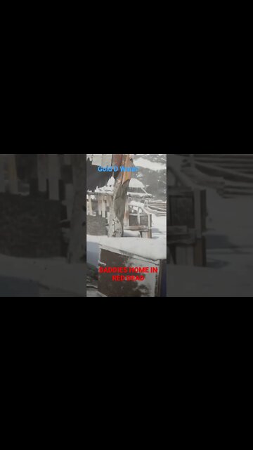 The new Daddy of Red Dead 😁#shorts #shortsvideo