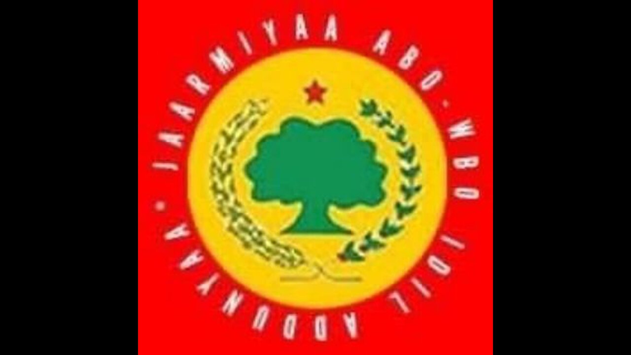ጥቅምት 8፣ 2024 ONM-ABO እለታዊ የኦሮሞ ነፃነት ሰራዊትና የኦሮሚያ ውሎ!