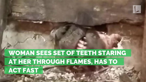 Woman Sees Set of Teeth Staring at Her Through Flames, Has to Act Fast