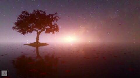 Tree of Life | Spiritual Deep Healing Frequency | Positive Energy & Health | Aura Cleanse | 10 Hours