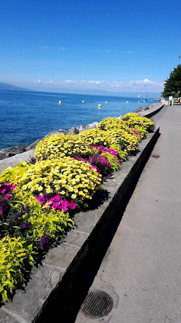 Walking in the lake in Switzerland summer 2020