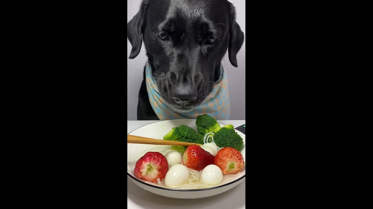 Dog eat so cute 🥺