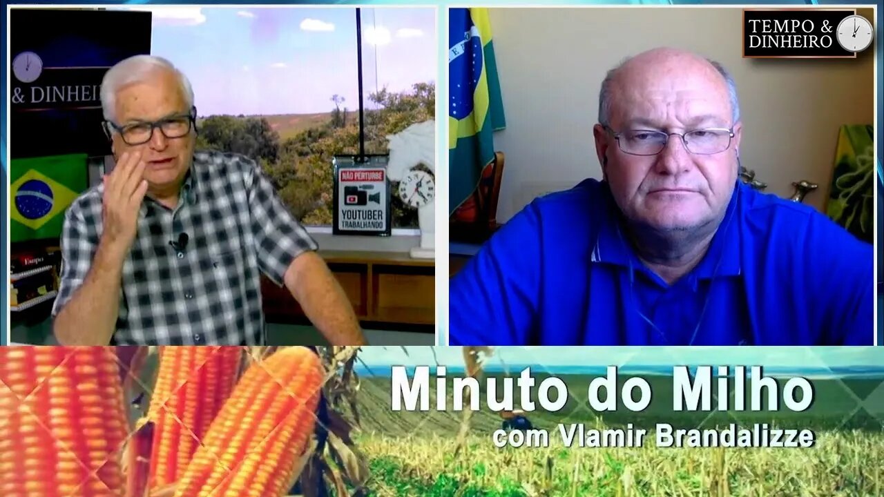Milho avança no Brasil