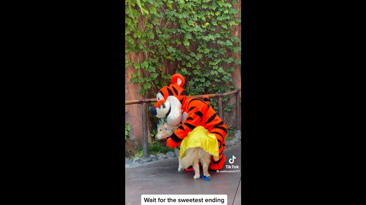 One of the Sweetest Things You’ll See