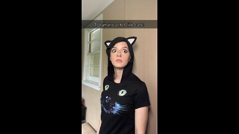 If humans acted like cats pt. 2