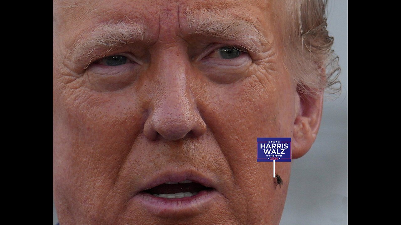Trump: I don’t like flies. Get out of here fly. This is a very aggressive sucker.
