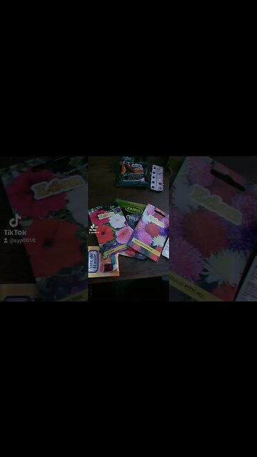 cad dintii de la petunii #jmek #caras #dragonuaka47 #caddintii #droage