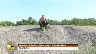 FOSSIL FRIDAY (PART 2)