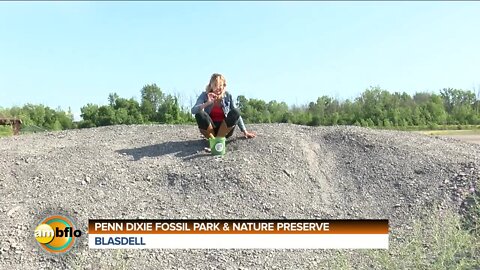 FOSSIL FRIDAY (PART 2)