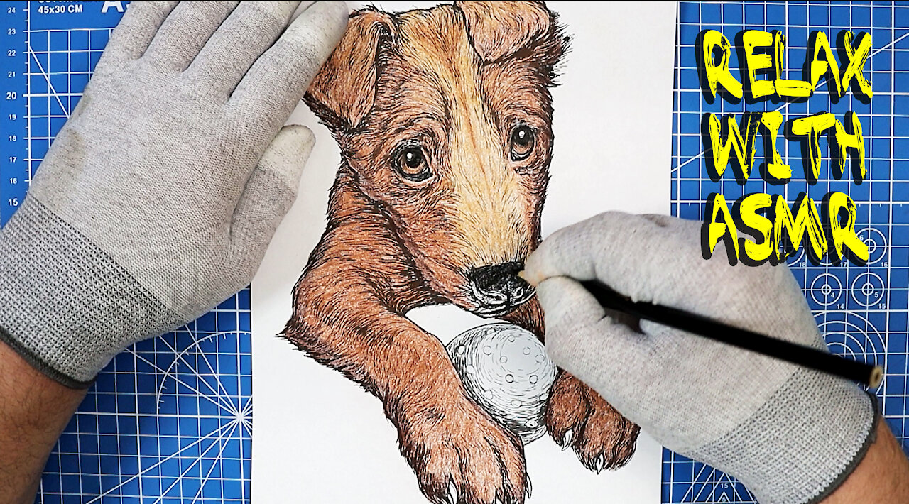 Relax With The Cutest Puppy Coloring ASMR