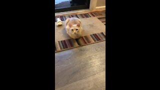 What happened to your legs!!?￼￼