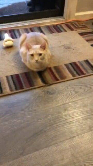 What happened to your legs!!?￼￼