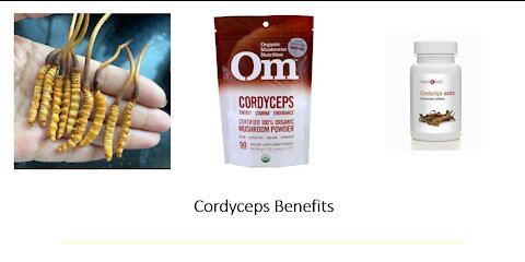 Cordyceps Mushroom Benefits