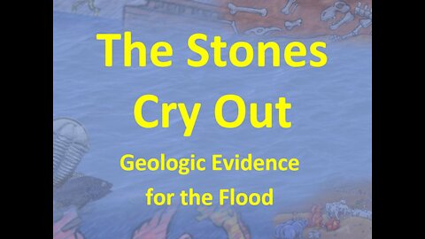 The Stones Cry Out - Geological Evidence for the Flood