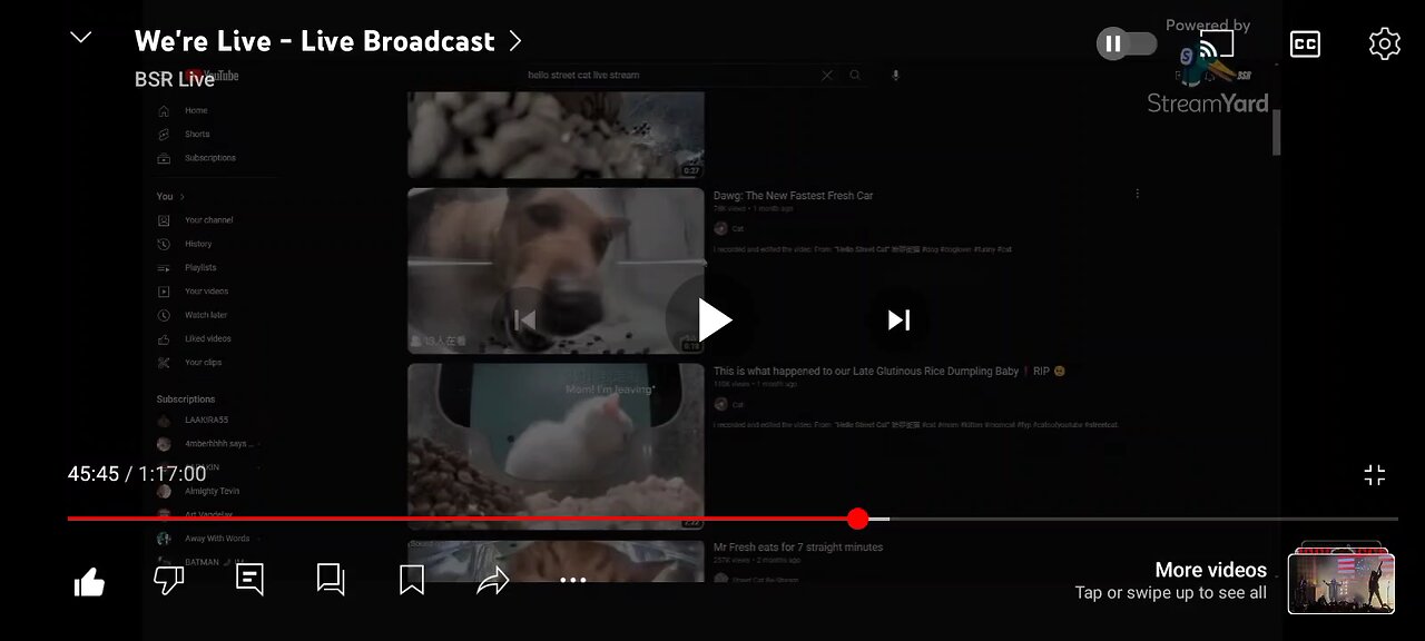 bsr stream mainly about cuntroller 2/2