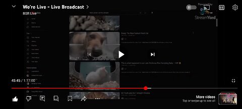 bsr stream mainly about cuntroller 2/2