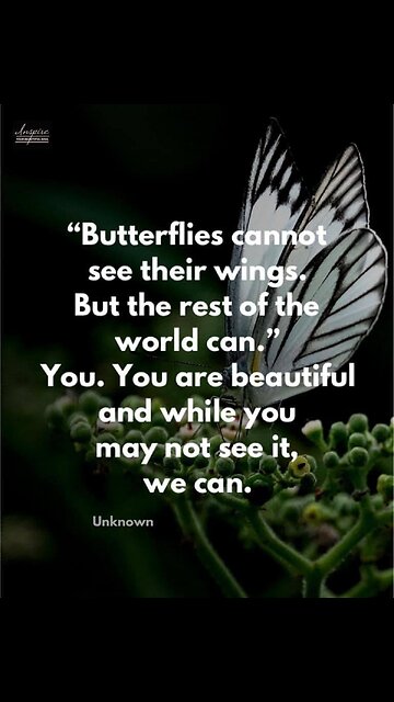 *NEWS INTERRUPTION* 😂😂😂