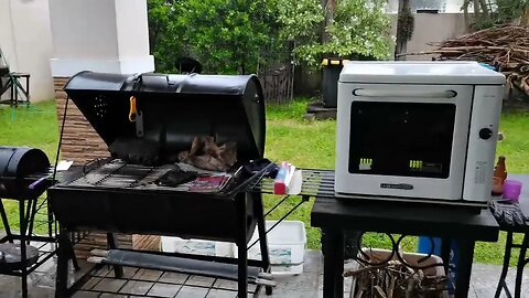 DAY 9 OF RAIN IN PHILIPPINES (DAILY DOSE)