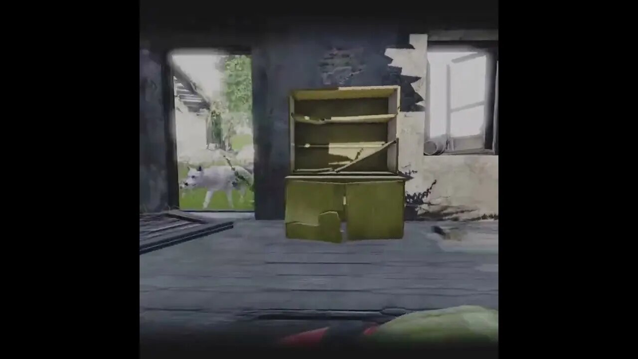 DayZ wolves are harmless (prove me wrong)