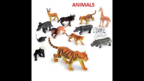 Best Moment Of Top Animal War PART1