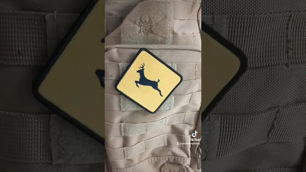 #shorts deer crossing funny video clothes