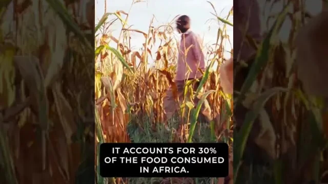 WATCH: Bill Gates tries to be hip and coolJoin