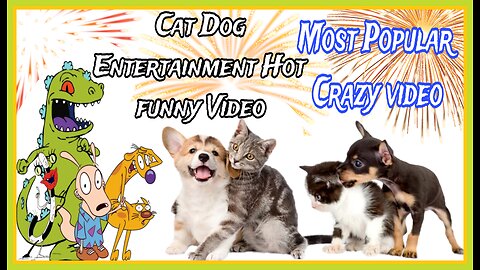 Entertainment Funny Animals|| child Popular Crazy video|| Cat Dog Funny video