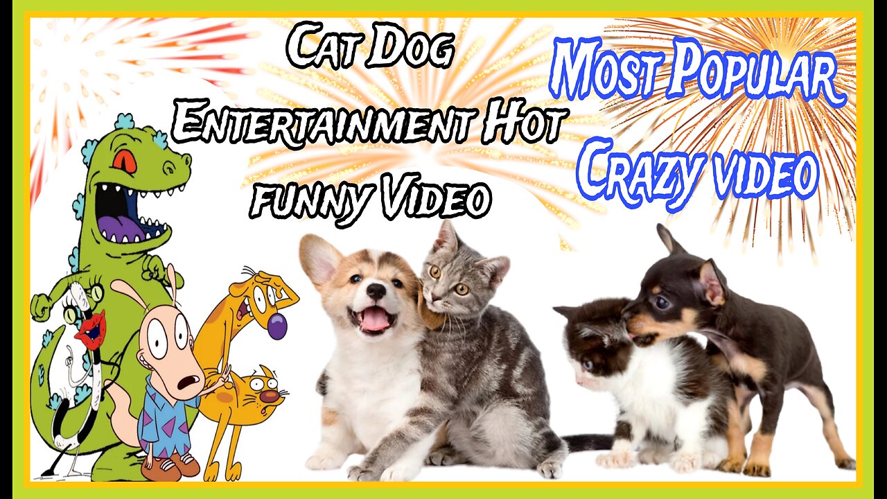 Entertainment Funny Animals|| child Popular Crazy video|| Cat Dog Funny video