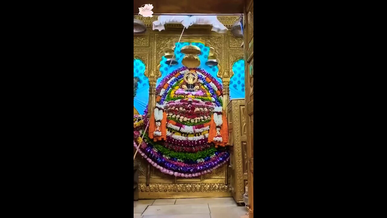 🌹खाटूश्याम मंदिर कब जाए?✨🪈🙏💯 #viral #khatushyam #shorts #bhakti #sriharnikhil #chittbhumi