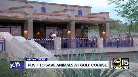 Community pushing to save animals at Phoenix golf course