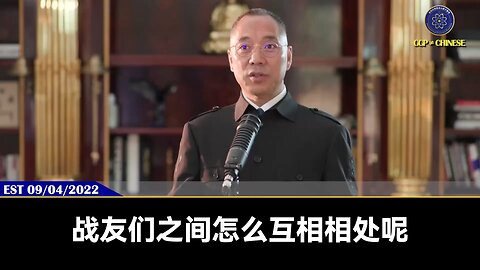 七哥和战友们分享的相处之道：