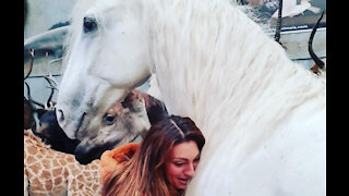Luisa Zissman has pet horse stuffed
