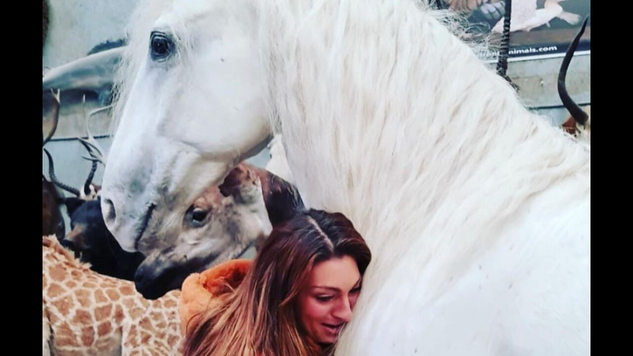 Luisa Zissman has pet horse stuffed
