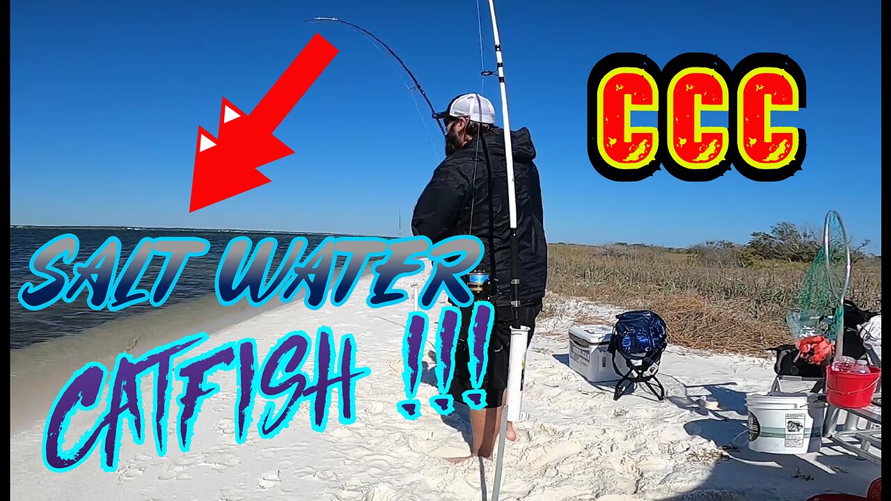 SALTWATER CATFISH Catch, Clean N Cook