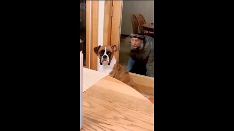 #shorts #trending #ytshorts #rumbleshorts