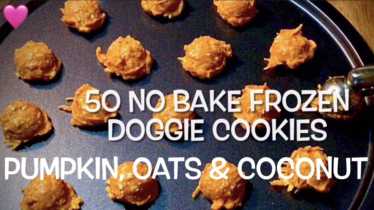 Pumpkin Oat & Coconut Doggie Cookies