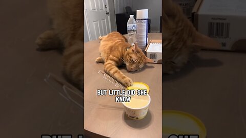 Cooking Lesson.