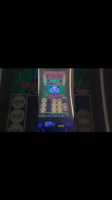 Wow! That Panda is Magical! #shorts #shortsvideo #jackpots #handpay #mrhandpay
