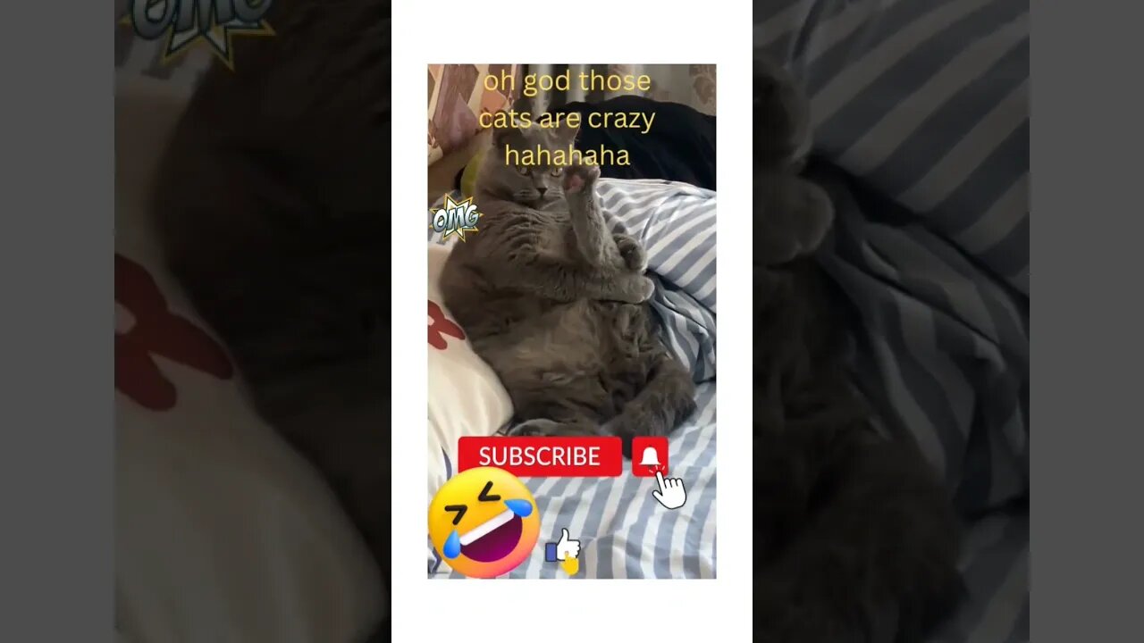 😁😆🤣😀#loveanimals #animals #shortsvideo #foryou #funny #cuteanimals #trending #shortsyoutube #shorts